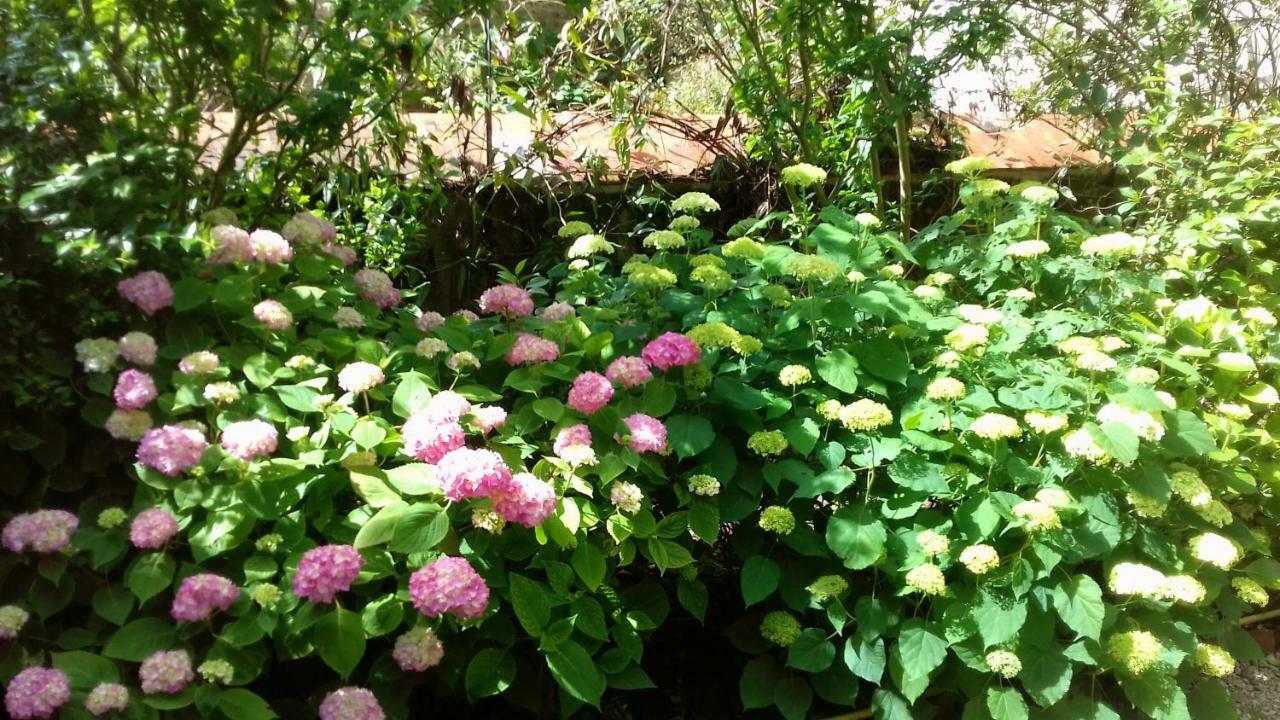 Ombre Rose Bed and Breakfast Le Fousseret Exteriör bild